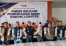 Bea Cukai Batam Gagalkan Penyeludupan Benih Lobster Senilai Rp 26,9 Milyar Berpotensi Rugikan Negara.