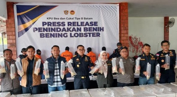 Bea Cukai Batam Gagalkan Penyeludupan Benih Lobster Senilai Rp 26,9 Milyar Berpotensi Rugikan Negara.